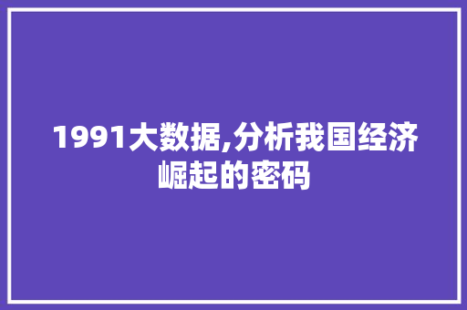 1991大数据,分析我国经济崛起的密码