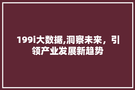 199i大数据,洞察未来，引领产业发展新趋势