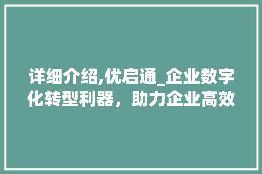 详细介绍,优启通_企业数字化转型利器，助力企业高效发展
