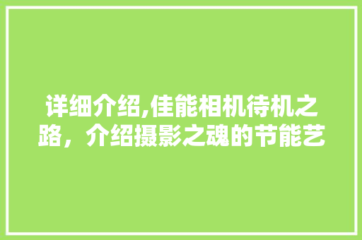 详细介绍,佳能相机待机之路，介绍摄影之魂的节能艺术