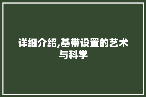 详细介绍,基带设置的艺术与科学