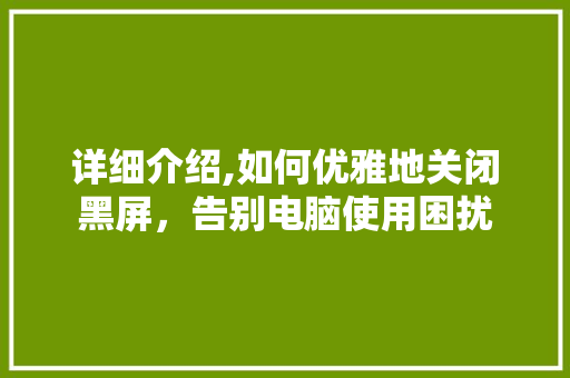 详细介绍,如何优雅地关闭黑屏，告别电脑使用困扰