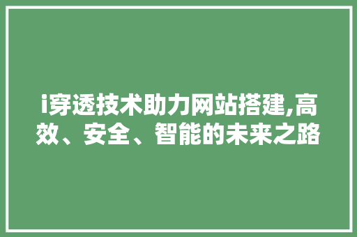 i穿透技术助力网站搭建,高效、安全、智能的未来之路