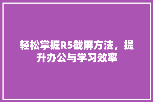 轻松掌握R5截屏方法，提升办公与学习效率 建站教程