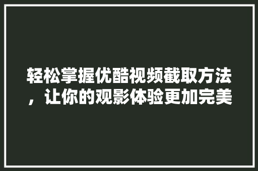 轻松掌握优酷视频截取方法，让你的观影体验更加完美 SEO教程