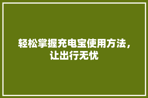 轻松掌握充电宝使用方法，让出行无忧