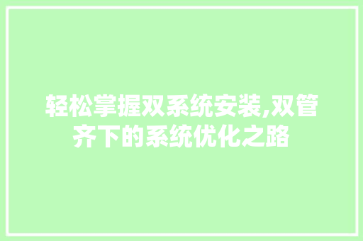 轻松掌握双系统安装,双管齐下的系统优化之路