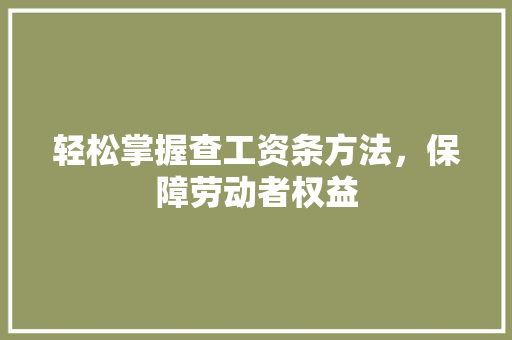 轻松掌握查工资条方法，保障劳动者权益 Web前端