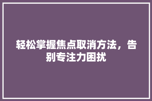 轻松掌握焦点取消方法，告别专注力困扰 WordPress教程