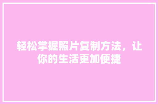 轻松掌握照片复制方法，让你的生活更加便捷