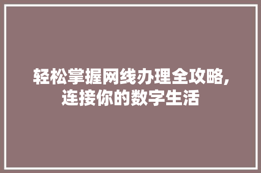 轻松掌握网线办理全攻略,连接你的数字生活