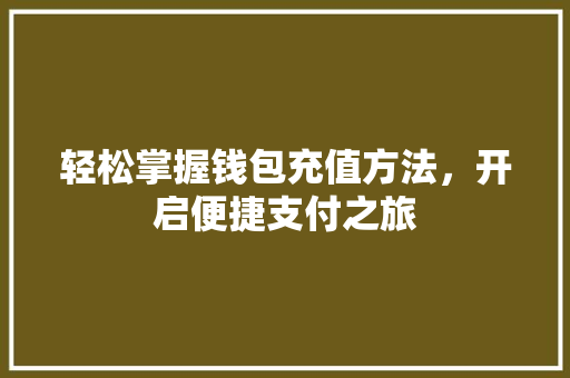 轻松掌握钱包充值方法，开启便捷支付之旅 建站教程