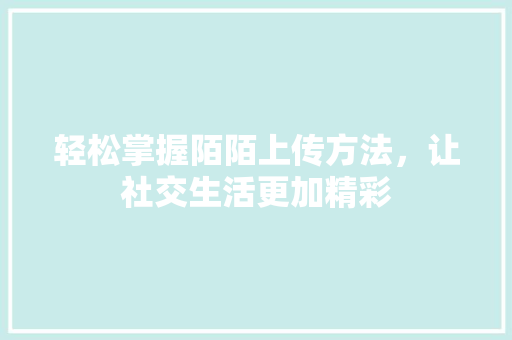 轻松掌握陌陌上传方法，让社交生活更加精彩