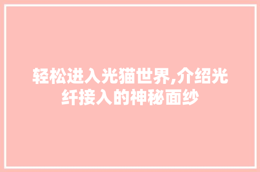 轻松进入光猫世界,介绍光纤接入的神秘面纱