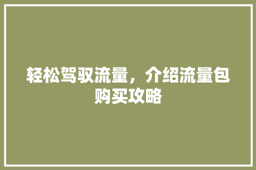 轻松驾驭流量，介绍流量包购买攻略 建站教程