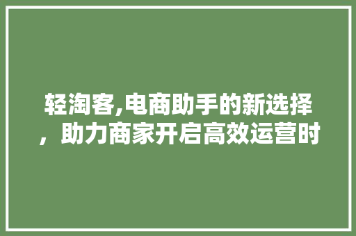 轻淘客,电商助手的新选择，助力商家开启高效运营时代