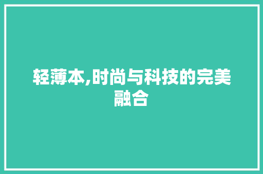 轻薄本,时尚与科技的完美融合