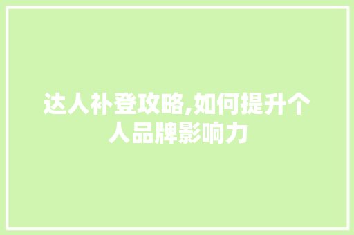 达人补登攻略,如何提升个人品牌影响力 服务器/数据库