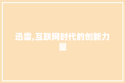 迅雷,互联网时代的创新力量