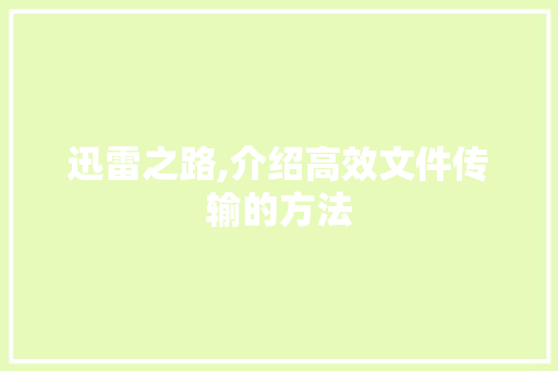 迅雷之路,介绍高效文件传输的方法