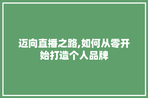 迈向直播之路,如何从零开始打造个人品牌 建站教程