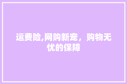 运费险,网购新宠，购物无忧的保障 WordPress教程
