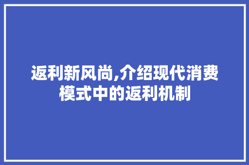 返利新风尚,介绍现代消费模式中的返利机制