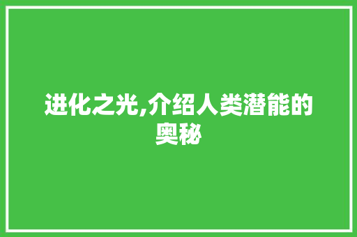 进化之光,介绍人类潜能的奥秘 SEO教程