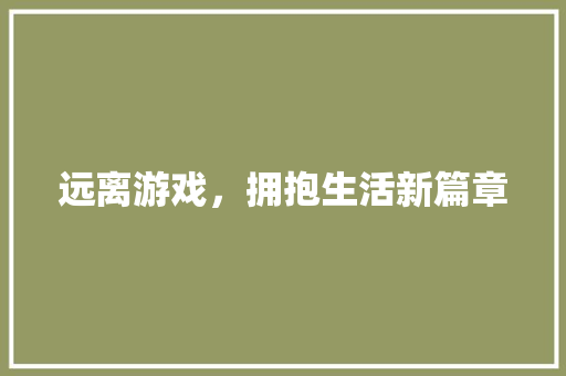 远离游戏，拥抱生活新篇章 建站教程