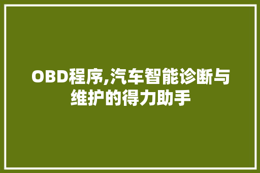 OBD程序,汽车智能诊断与维护的得力助手