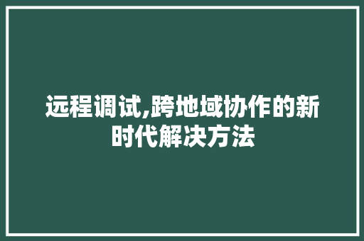 远程调试,跨地域协作的新时代解决方法