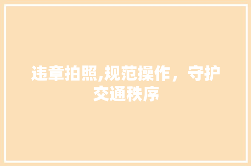 违章拍照,规范操作，守护交通秩序