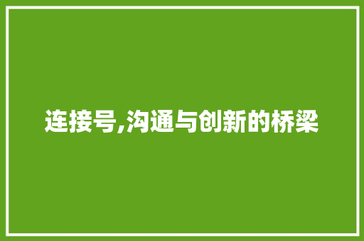 连接号,沟通与创新的桥梁