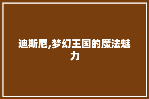 迪斯尼,梦幻王国的魔法魅力 友链在线