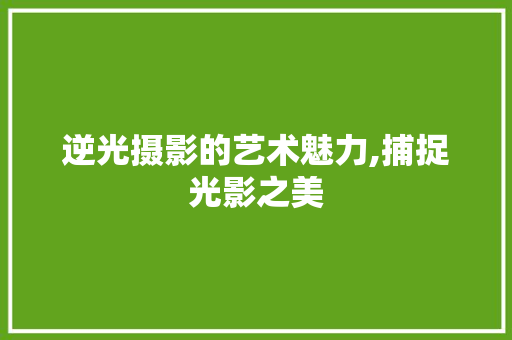 逆光摄影的艺术魅力,捕捉光影之美