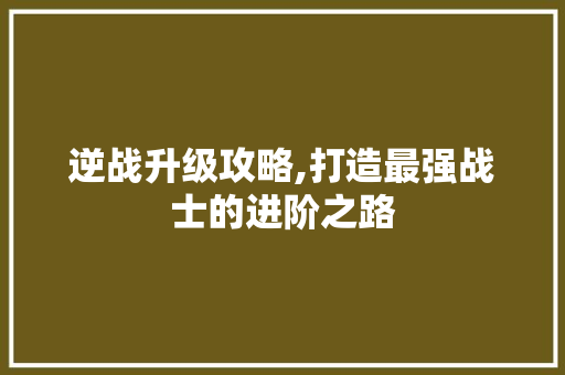 逆战升级攻略,打造最强战士的进阶之路