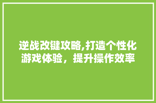 逆战改键攻略,打造个性化游戏体验，提升操作效率