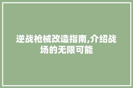 逆战枪械改造指南,介绍战场的无限可能