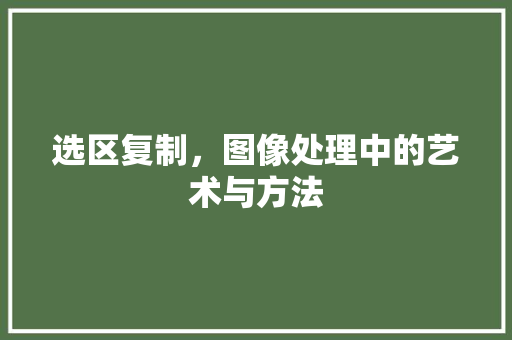 选区复制，图像处理中的艺术与方法