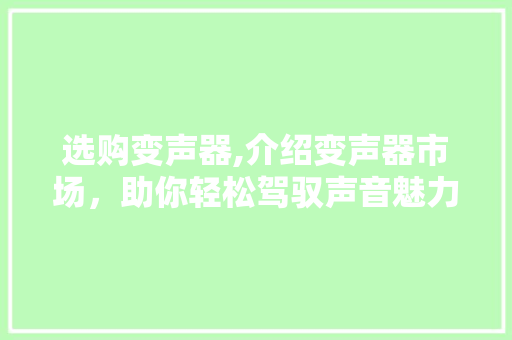 选购变声器,介绍变声器市场，助你轻松驾驭声音魅力 SEO教程