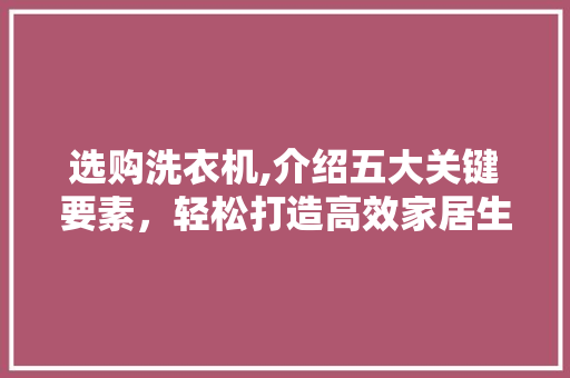 选购洗衣机,介绍五大关键要素，轻松打造高效家居生活 服务器/数据库