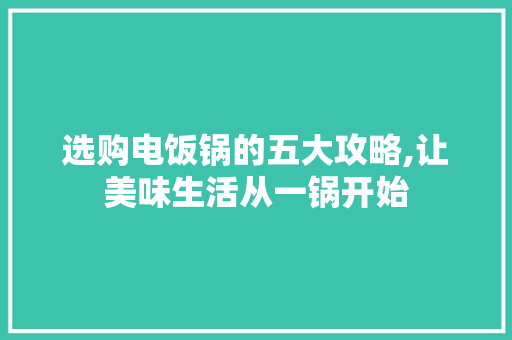选购电饭锅的五大攻略,让美味生活从一锅开始 建站教程