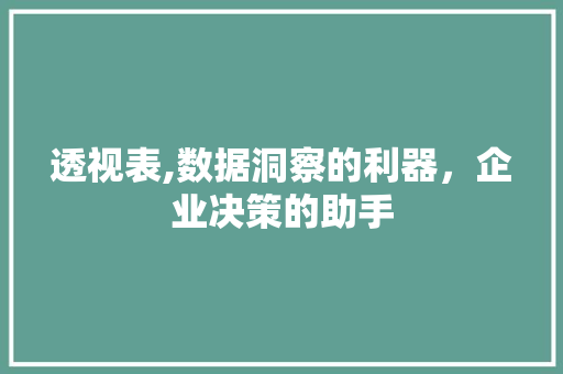 透视表,数据洞察的利器，企业决策的助手