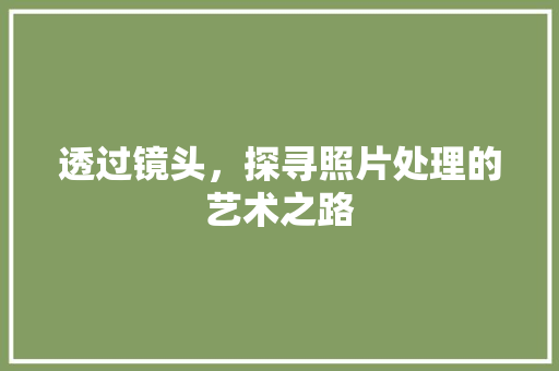 透过镜头，探寻照片处理的艺术之路
