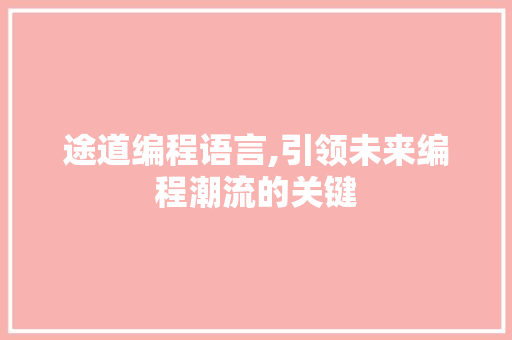 途道编程语言,引领未来编程潮流的关键