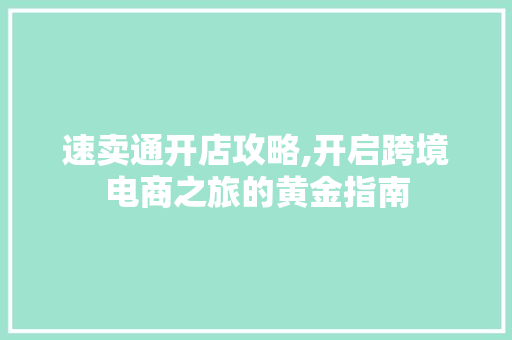 速卖通开店攻略,开启跨境电商之旅的黄金指南