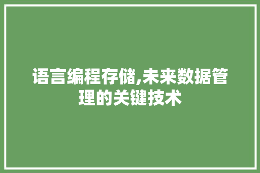 语言编程存储,未来数据管理的关键技术