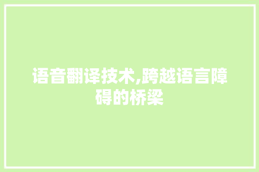 语音翻译技术,跨越语言障碍的桥梁