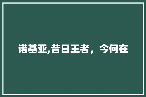 诺基亚,昔日王者，今何在