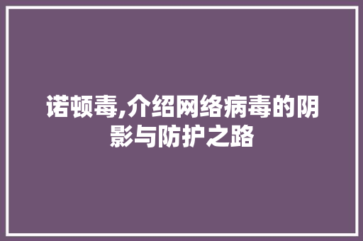 诺顿毒,介绍网络病毒的阴影与防护之路 WordPress教程